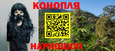 mdpv Можга