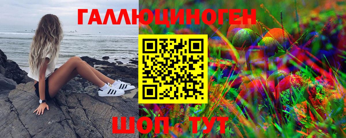 Псилоцибиновые грибы Psilocybine cubensis Усолье-Сибирское